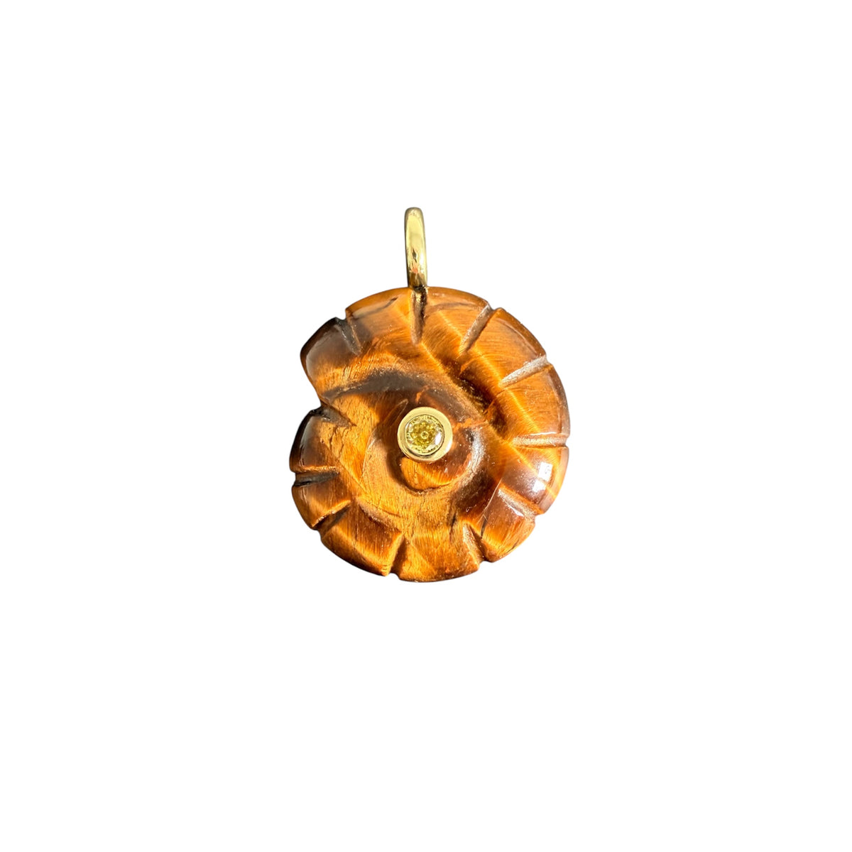 Ciondolo Conchiglia Occhio di Tigre